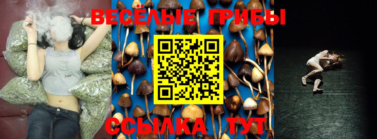 Псилоцибиновые грибы Cubensis Щёлково